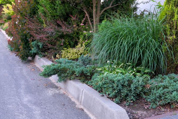 Curbing Installation